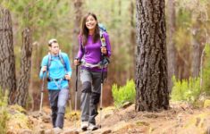 The Best Hiking Poles