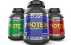 10 Best Protein Powders